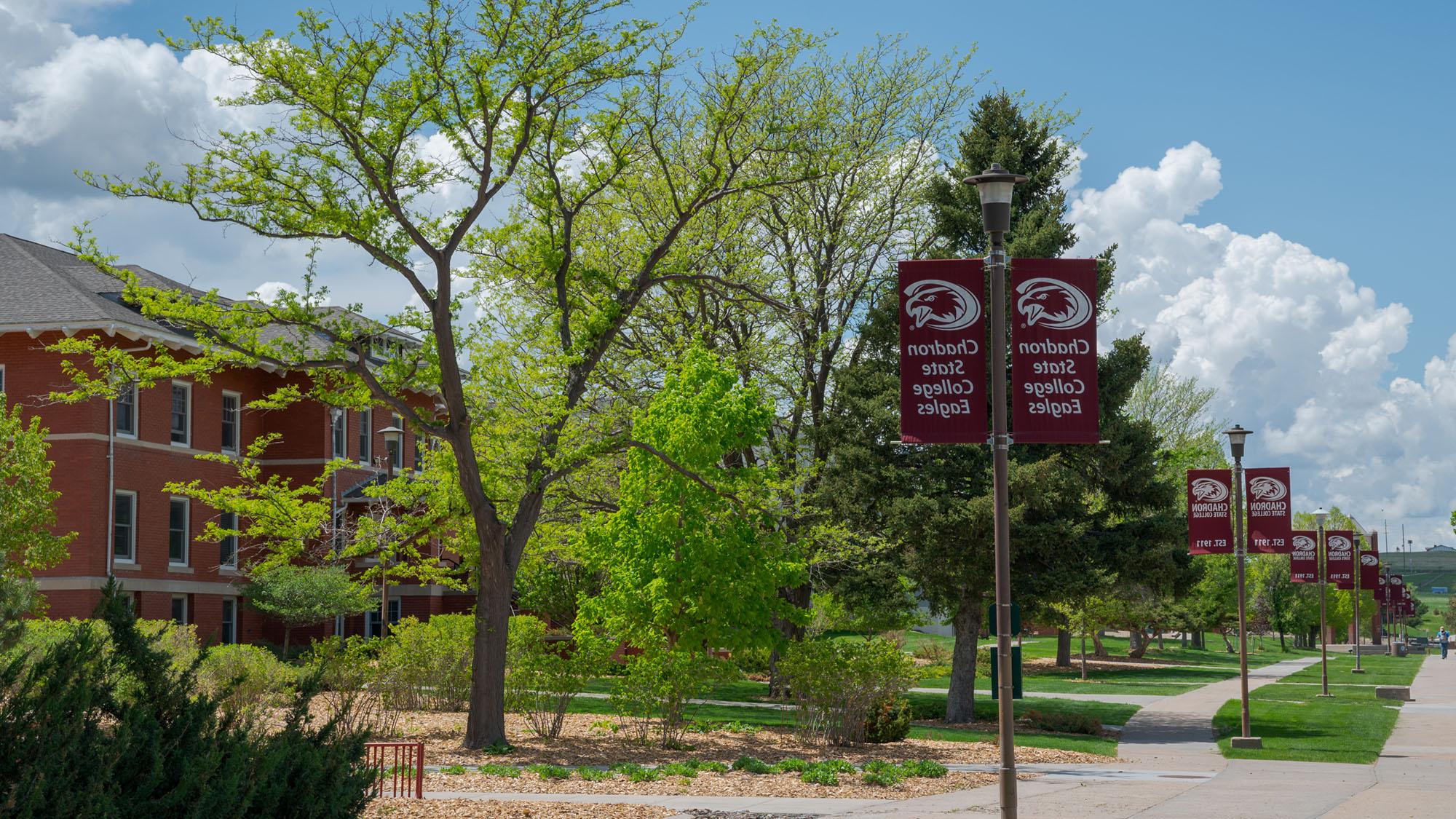校园散步有CSC的旗帜和树木